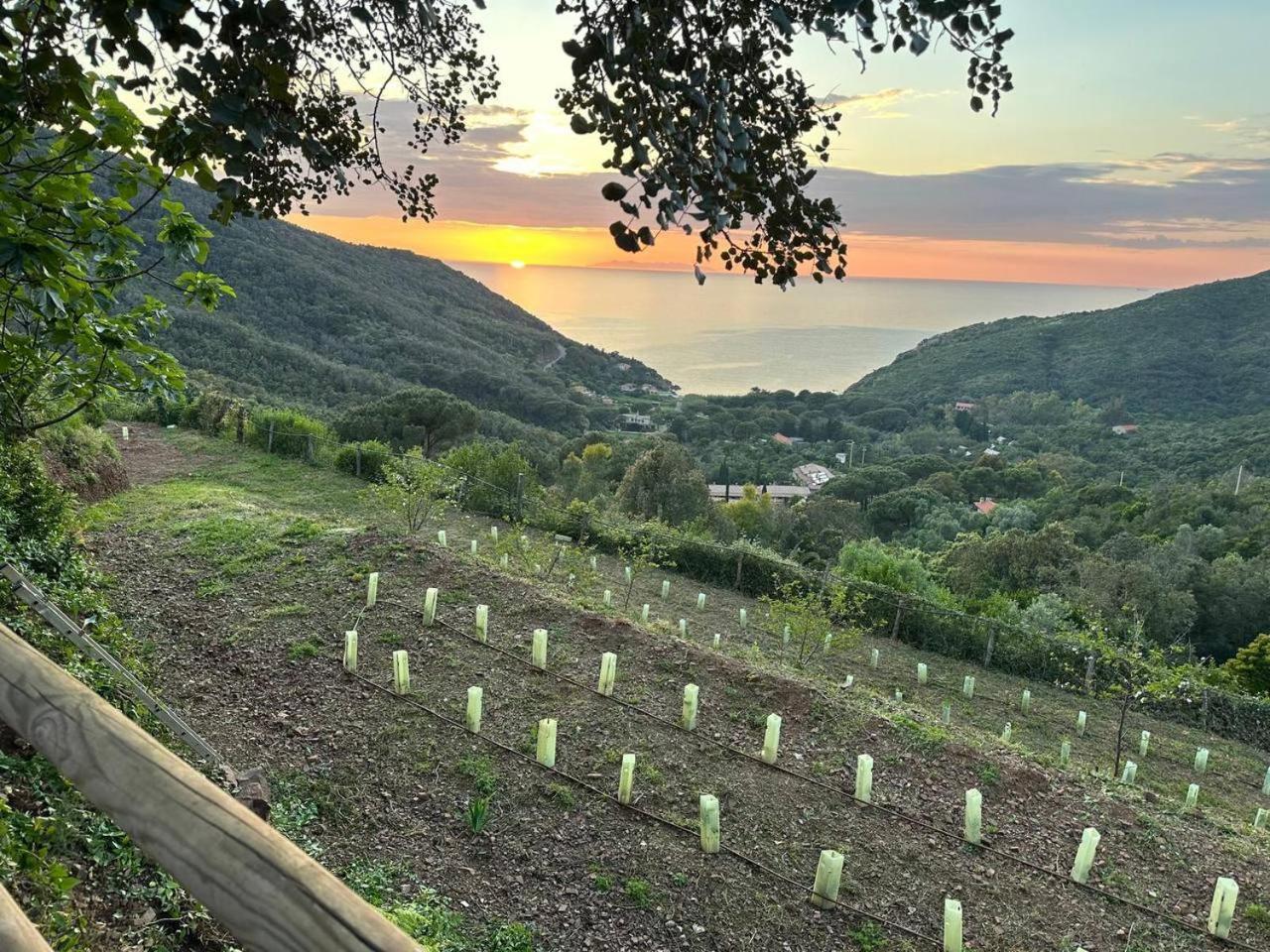 B&B Locanda del Borgo Agriturismo La Paradisa Rio dellʼElba Exterior foto